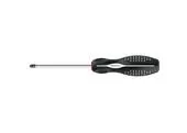 Strend Pro 2250576 Skrutkovač CX552.4, PZ2 6x100 mm, Pozidriv