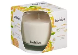 Bolsius Jar True Moods 95/95 mm Sviečka Feel happy (mango a bergamot)