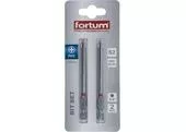 Fortum 4741222 Krížový bit 2ks, PH 2x90mm, S2
