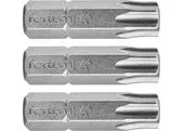 Fortum 4741440 Bit torx 3ks, T 40x25mm, S2